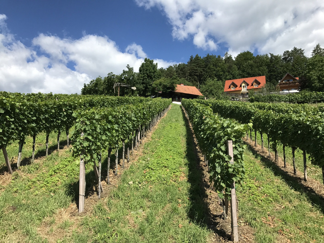 Weinshop Hintergrund
